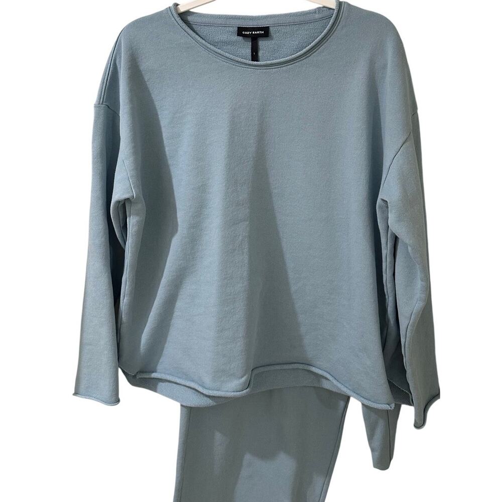 Cozy Earth Organic Cotton Pullover Wide-Leg Pant Set L Top XL Bottoms Sage Blue - Picture 3 of 14